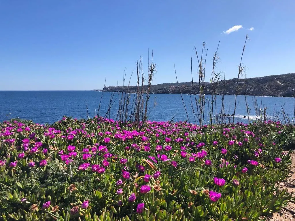 Relaxing Cristal Blu Studio Sleeps 3 Santa Teresa di Gallura